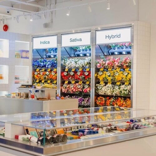 8EE0BF4A-9183-4B03-9DD7-A3D264FAEA361-1