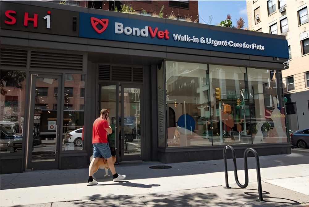 BondChelsea-Picsart-AiImageEnhancer