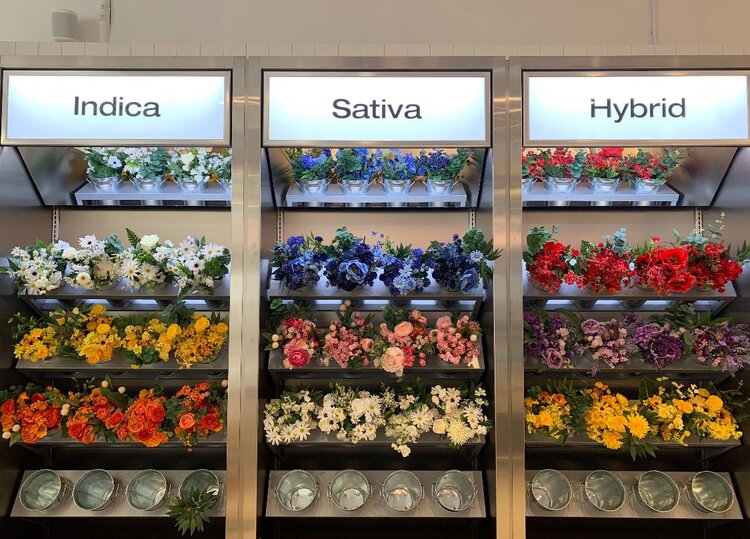 Superette interior flower display case